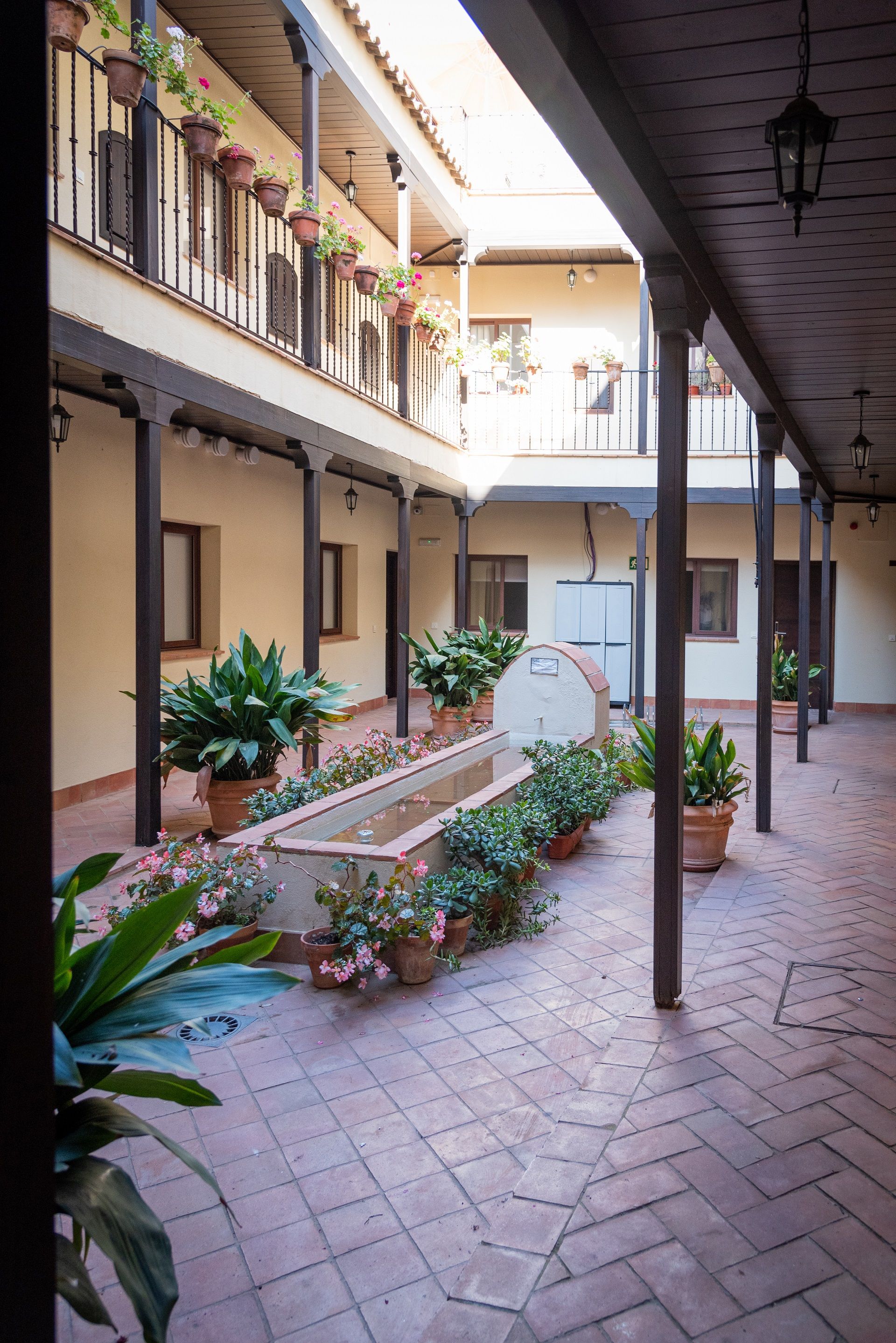 Hoteles Del Sur, foto 15
