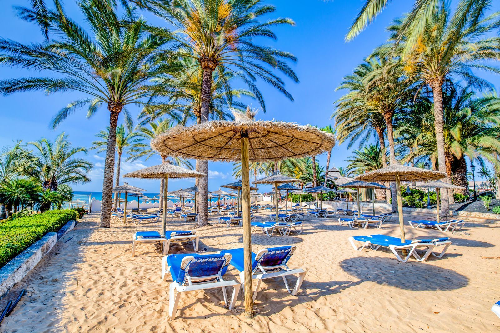 SBH Costa Calma Beach Resort, foto 9