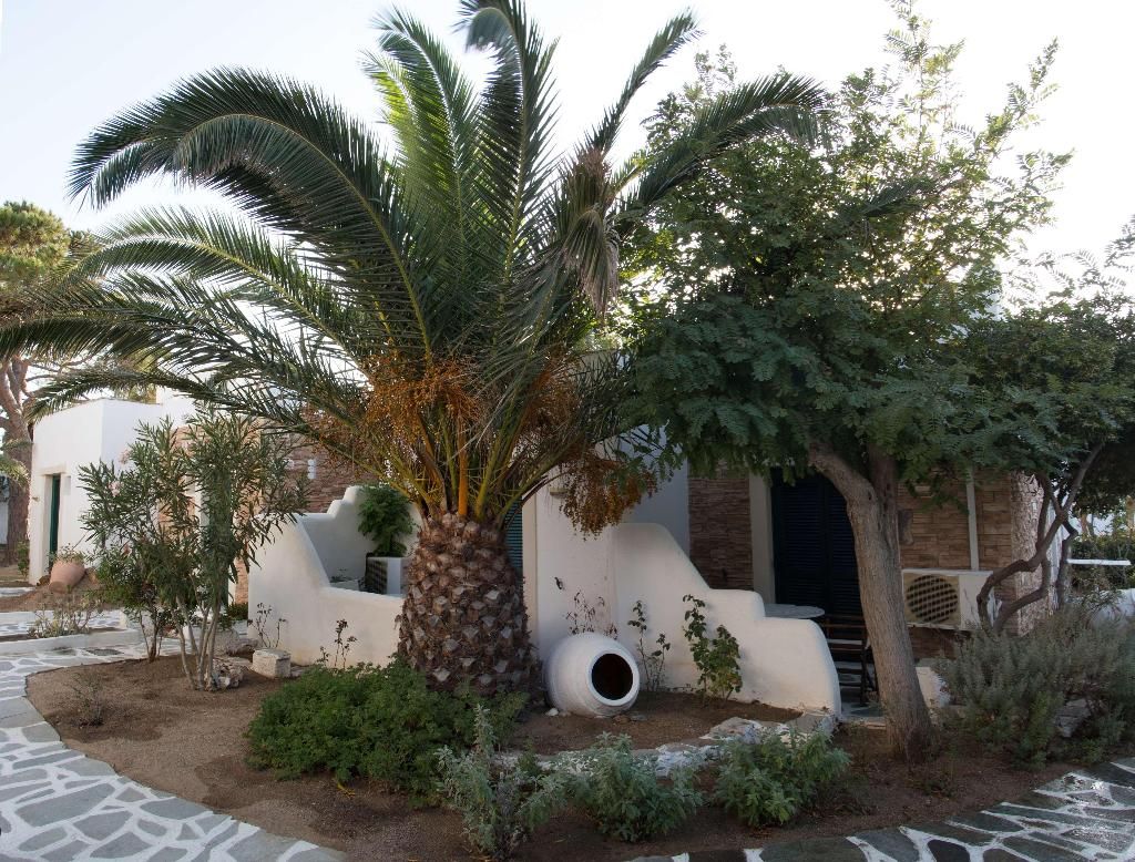Naxos Beach Hotel, foto 14