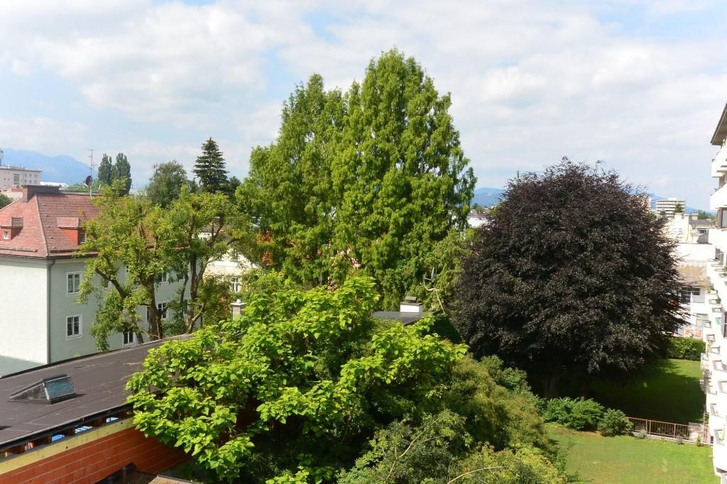 Adlerhof, foto 13