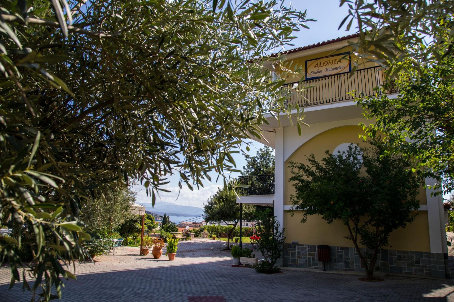Alonia Studios & Maisonettes, foto 9
