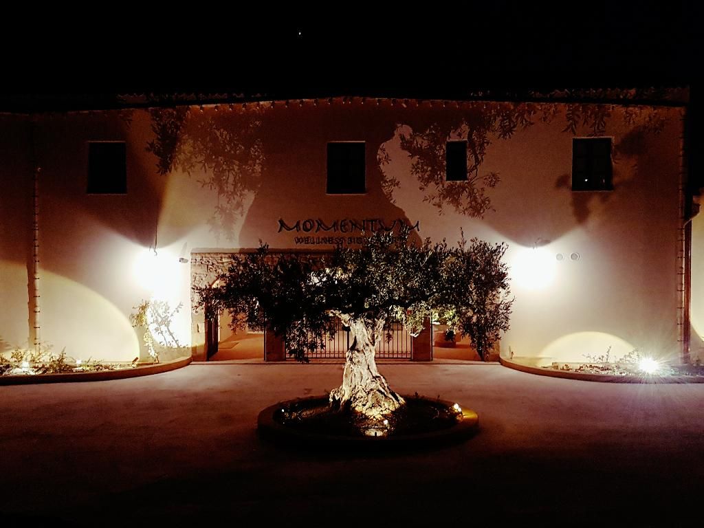 Momentum Wellness Bio-Resort, foto 2