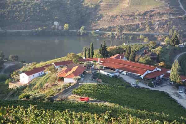 Quinta Nova de Nossa Senhora do Carmo - Winery House, foto 2