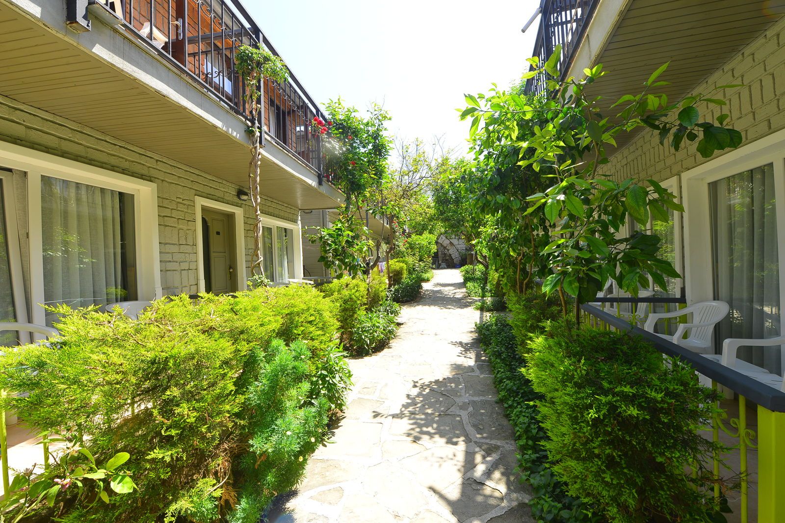Leda Beach Hotel, foto 11