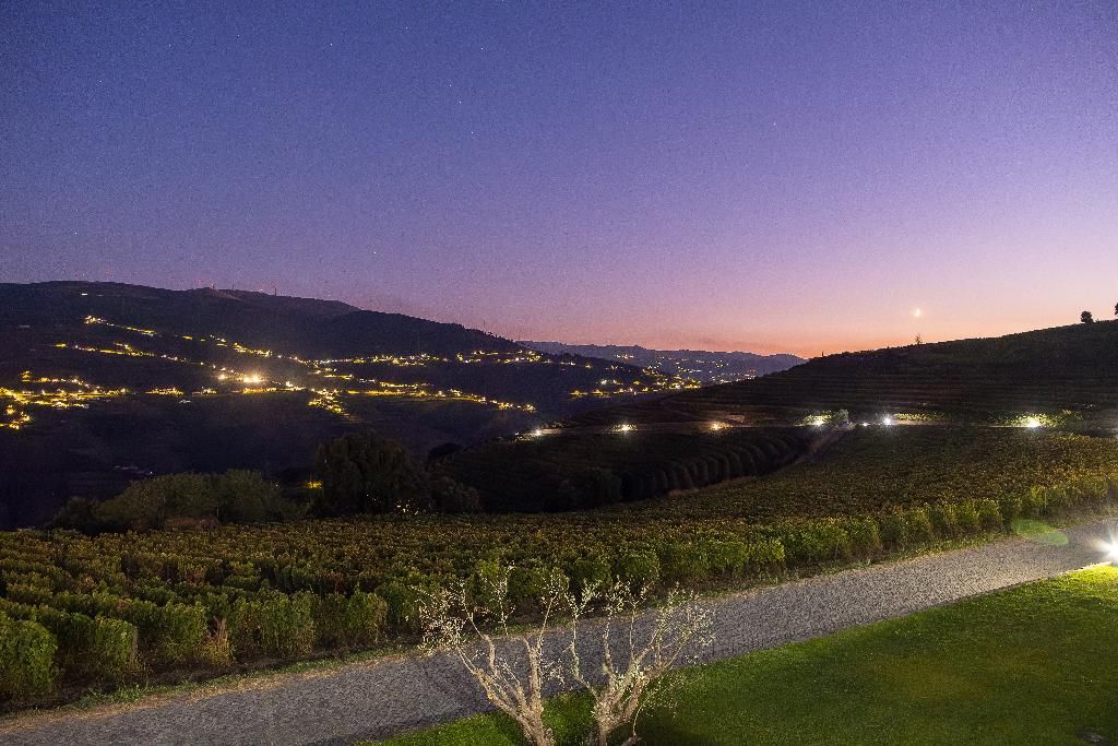 Hotel Douro Scala, foto 7