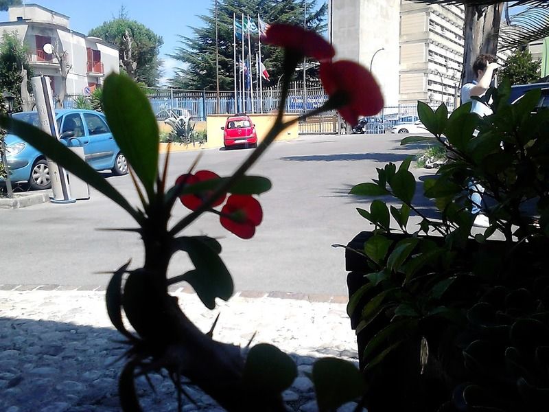 Hotel Federico Ii, foto 9