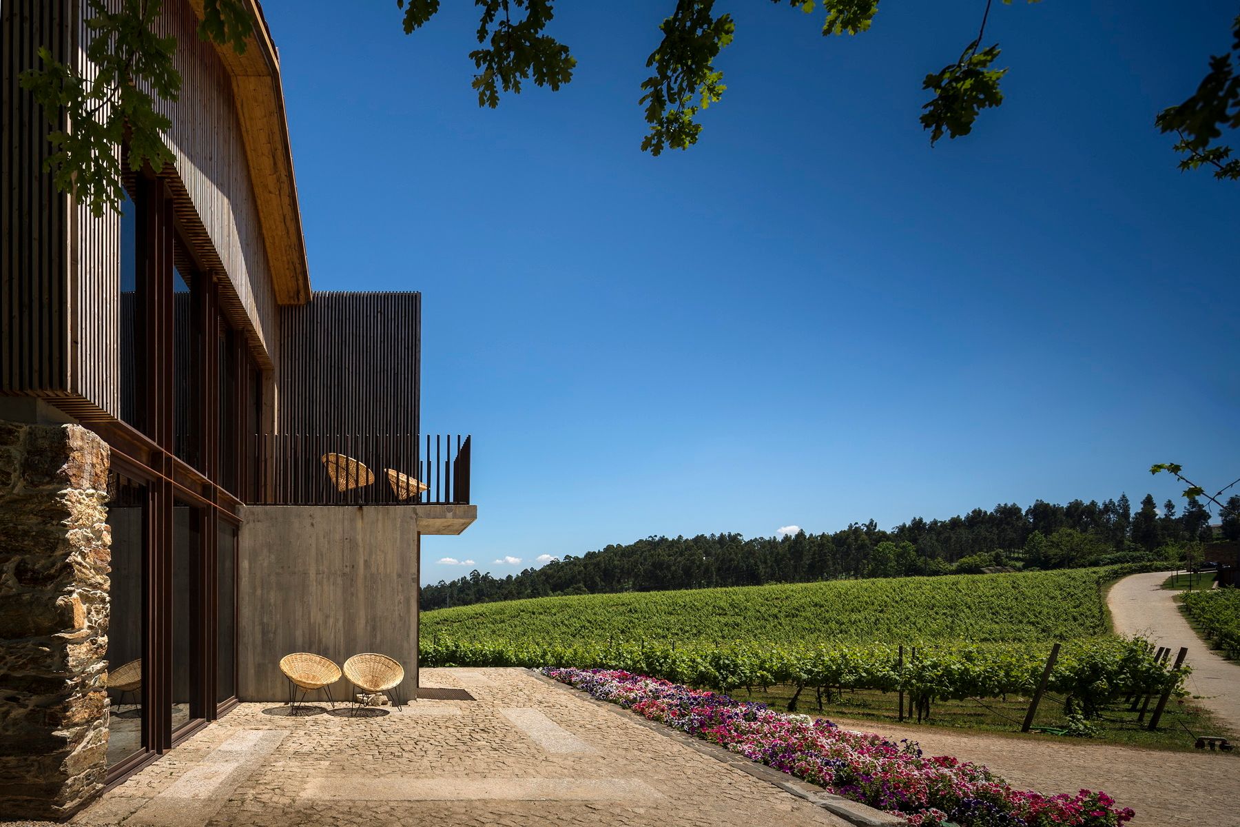Monverde - Wine Experience Hotel, foto 11