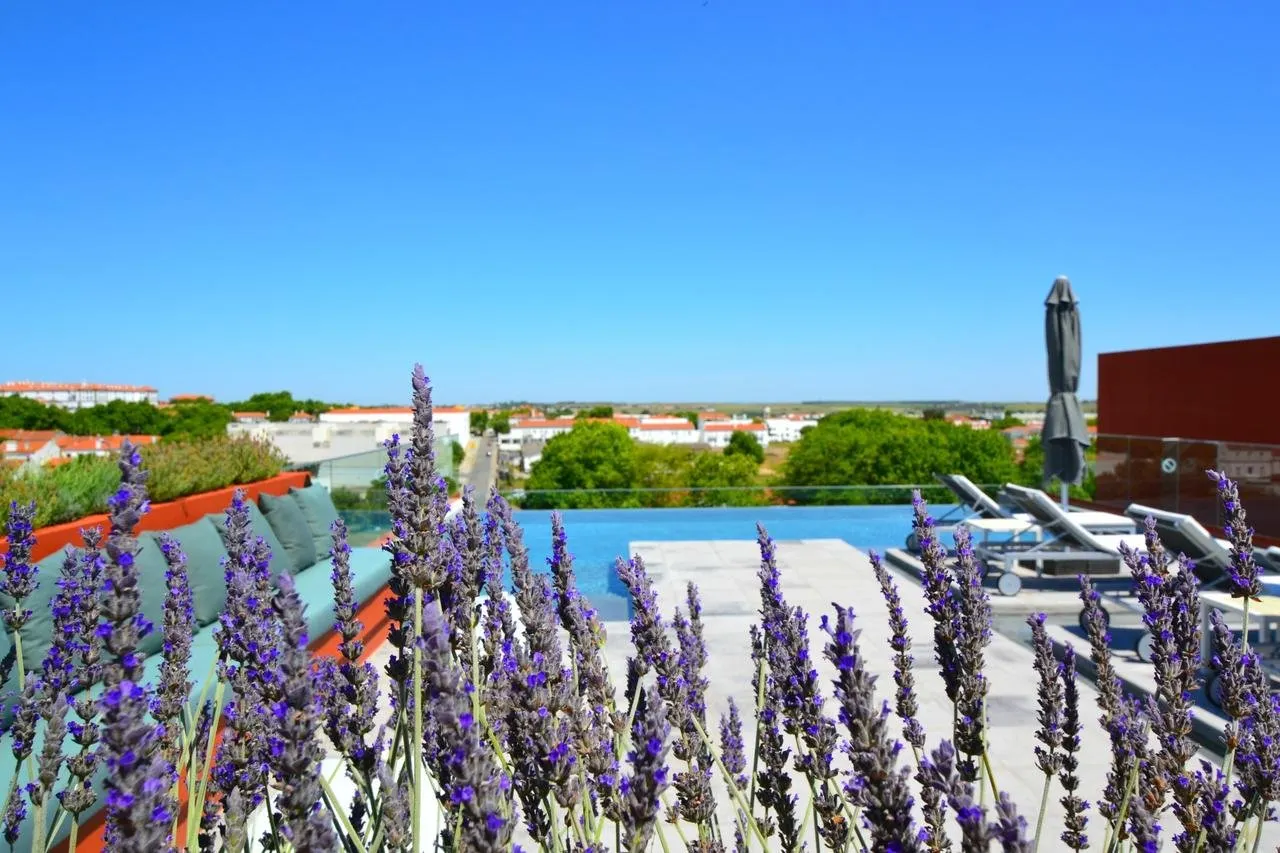 Hotel Vitoria Stone - Evora