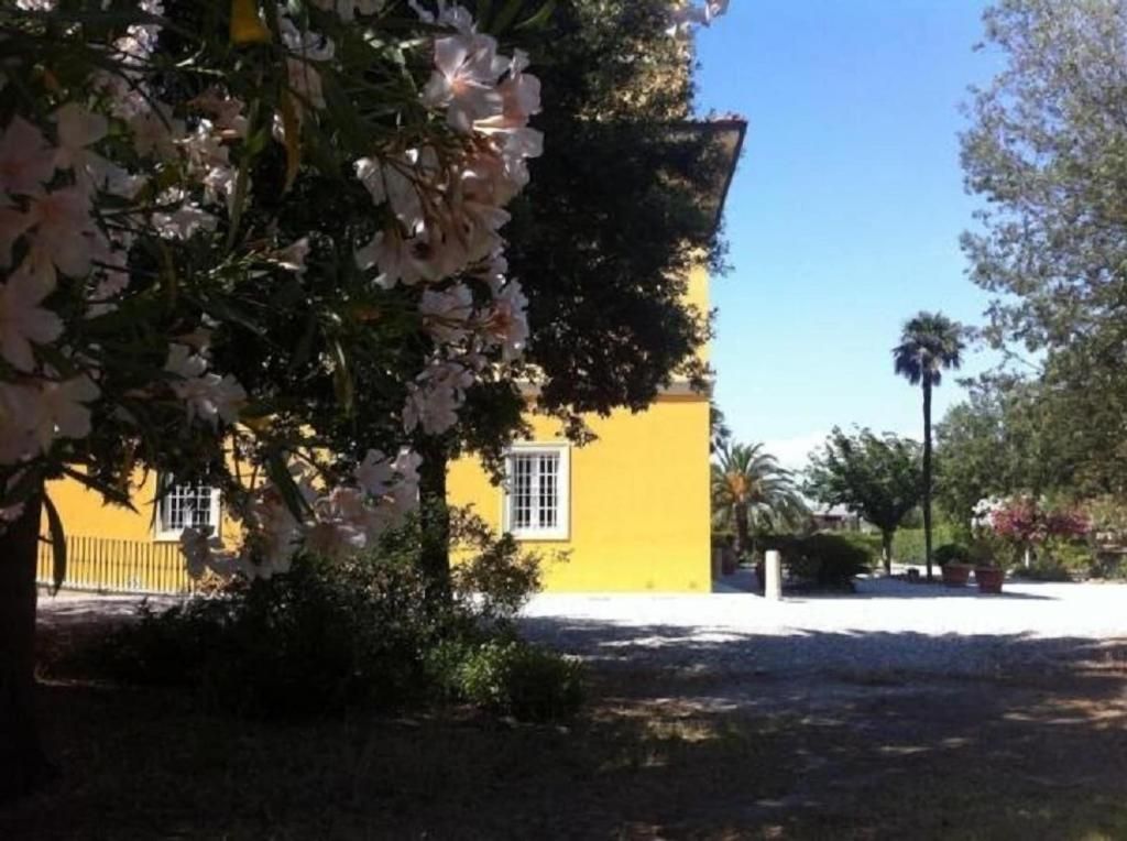 Agriturismo Villa Graziani, foto 11