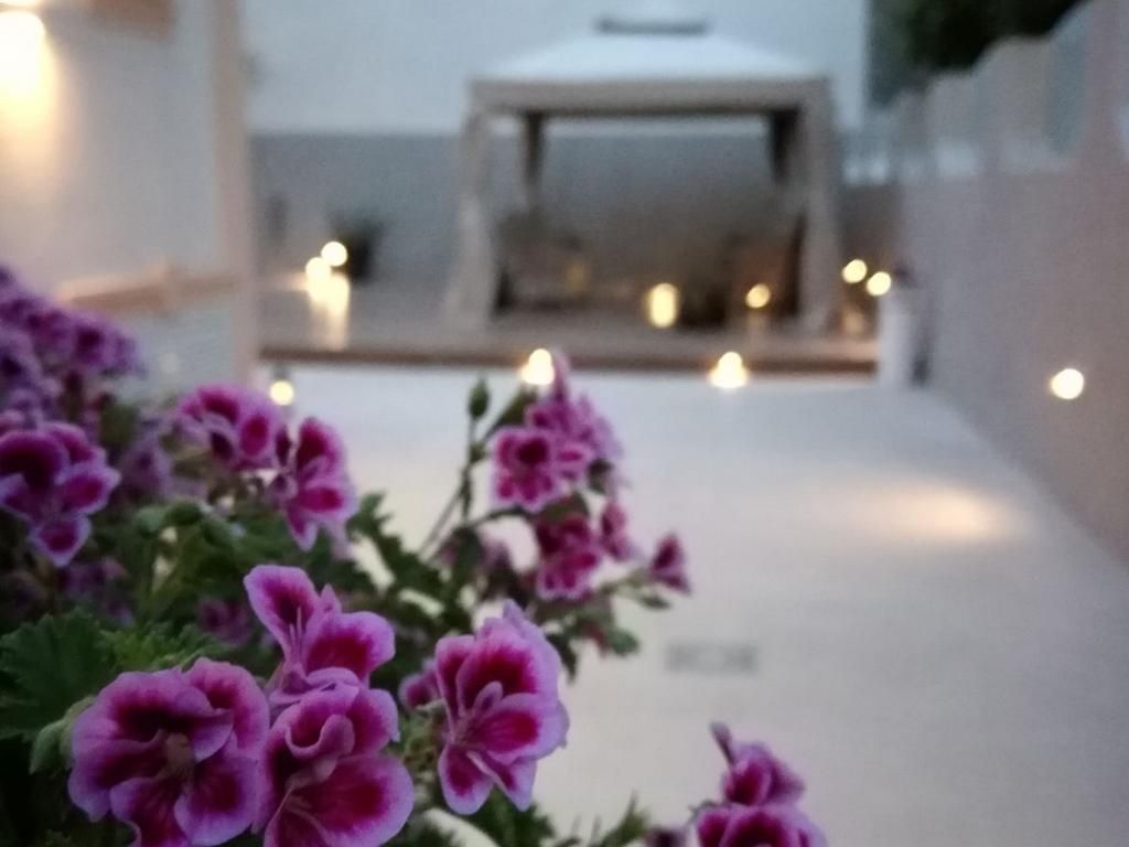 Hotel Buono B&B, foto 14