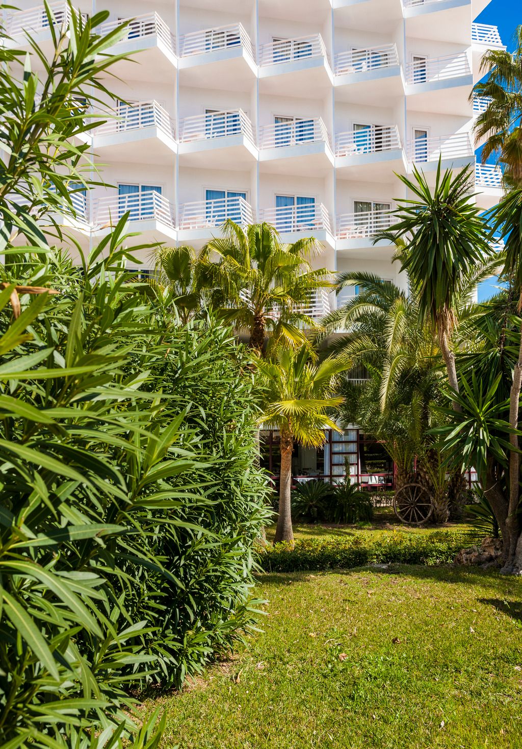 Globales Palmanova, foto 4