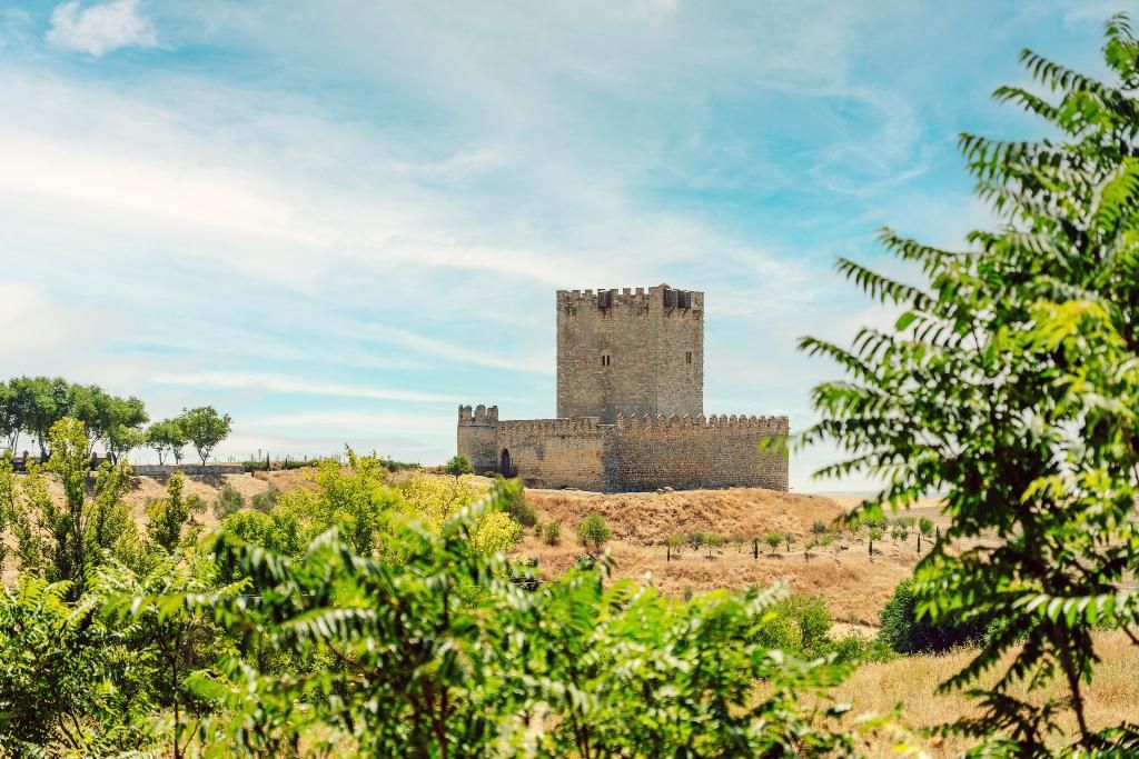 abba Las Viñas Tiedra, foto 8