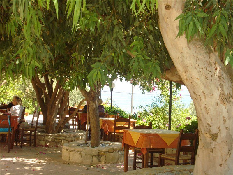 Polyrizos (Polyrisos), foto 3