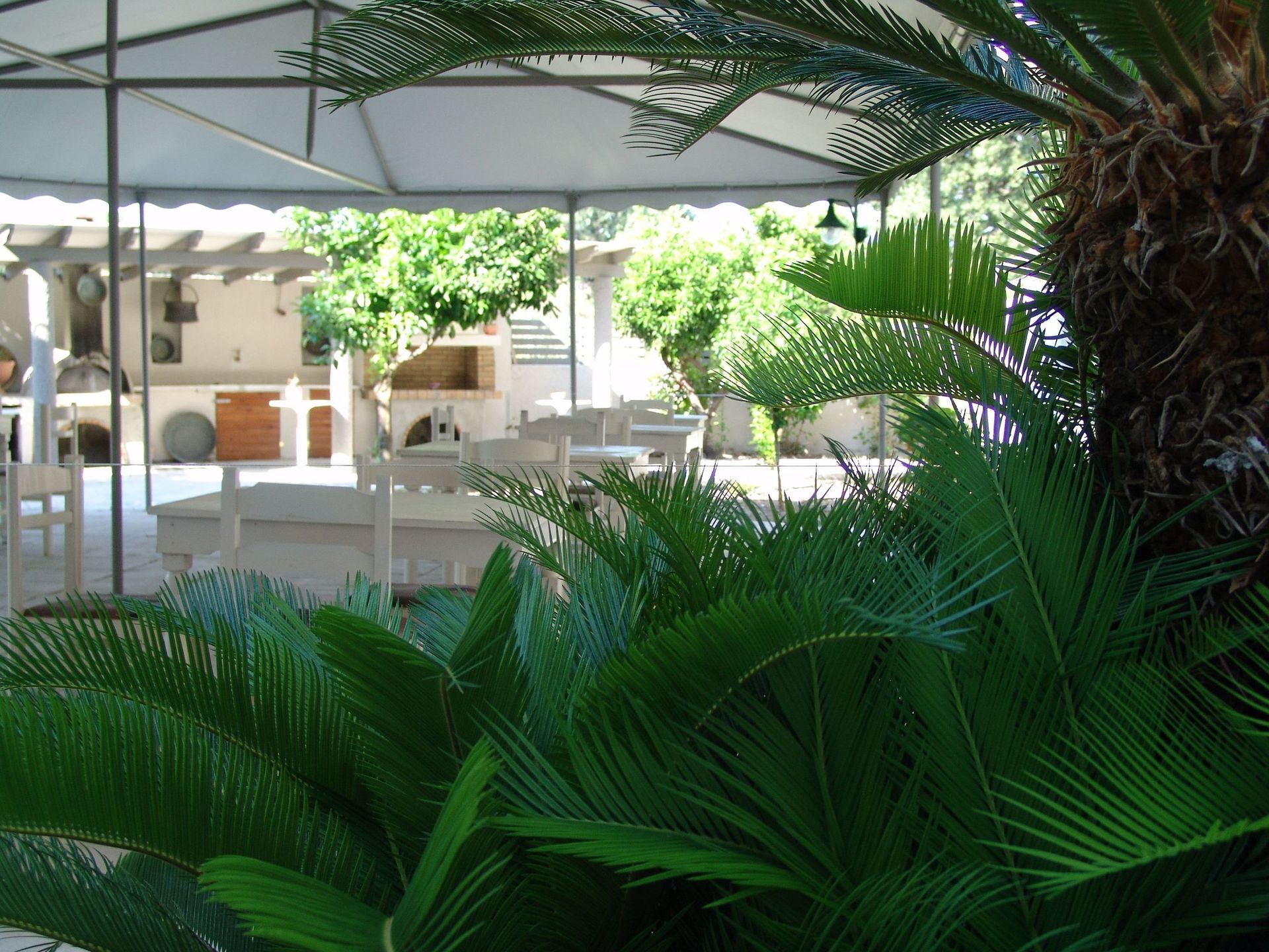 Ivory Serenity Hotel, foto 10