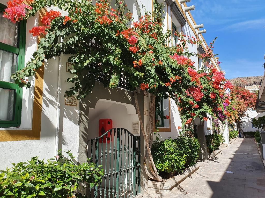 BIlly's Puerto de Mogán Apartments by LIVVO, foto 9
