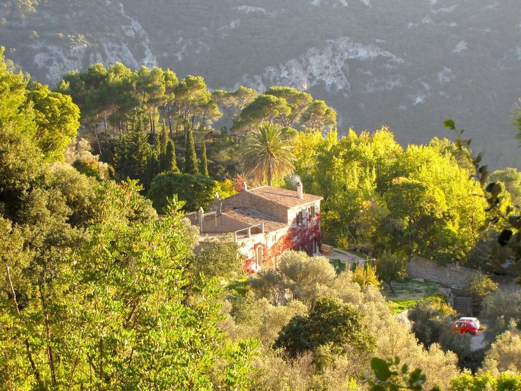 Mirabo de Valldemossa, foto 13