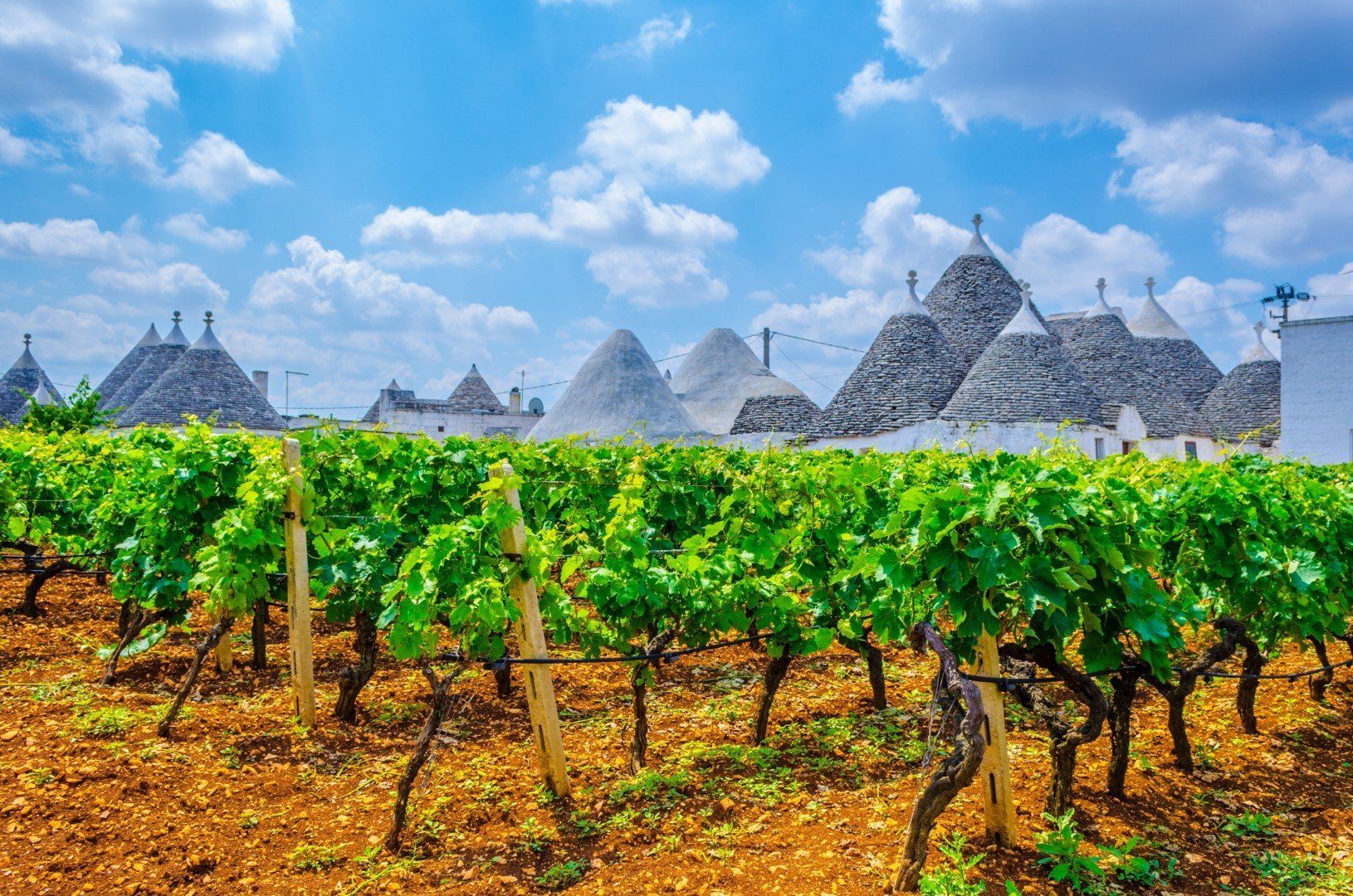Privé wandelreis Puglia, wandelen tussen trulli, Matera en Barok, foto 2