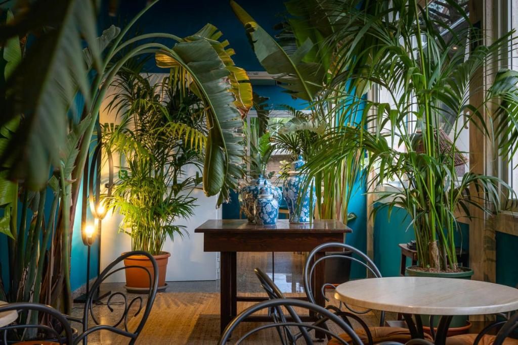 Hotel Portofino, foto 15