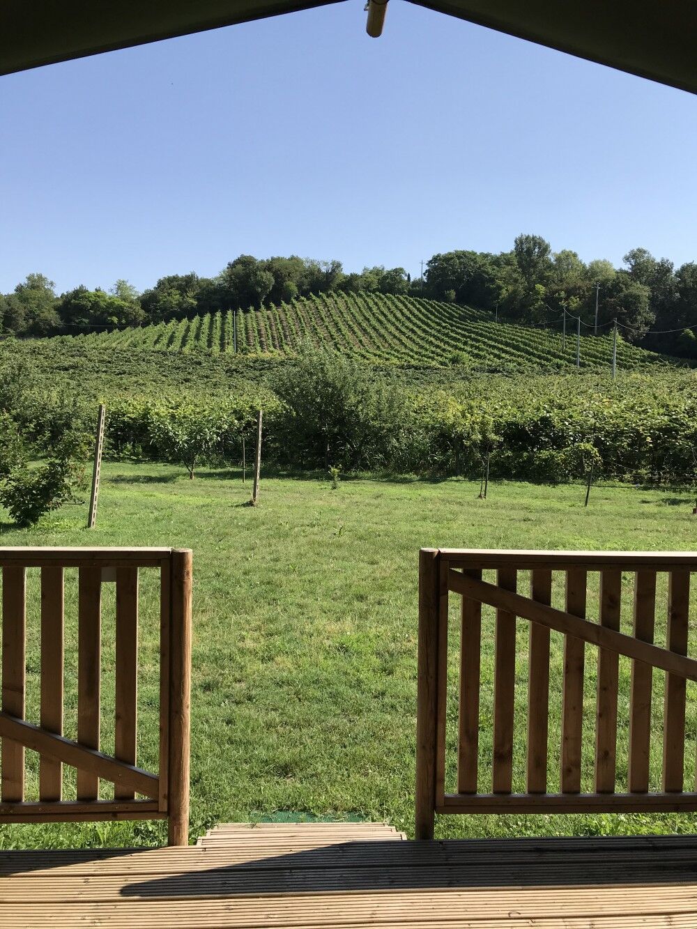 Agriturismo Le Sorgive e Le Volpi, foto 7