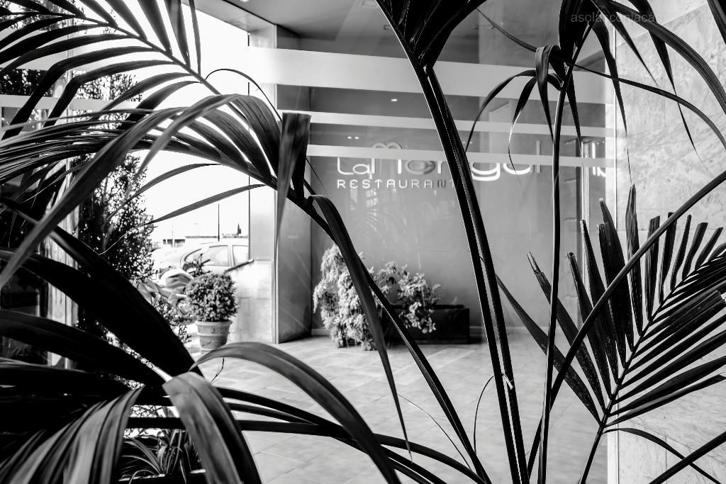 Hotel Silvota, foto 10