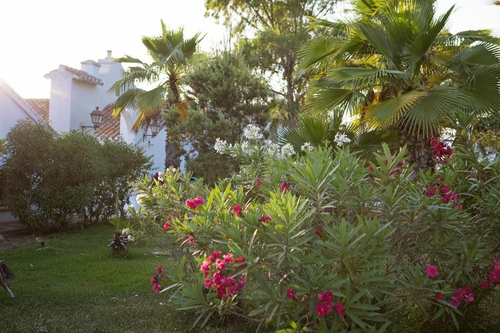 Cortijo del Arte, foto 7