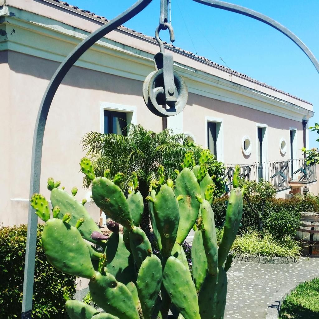 Agriturismo Il Ciliegio dell' Etna, foto 14