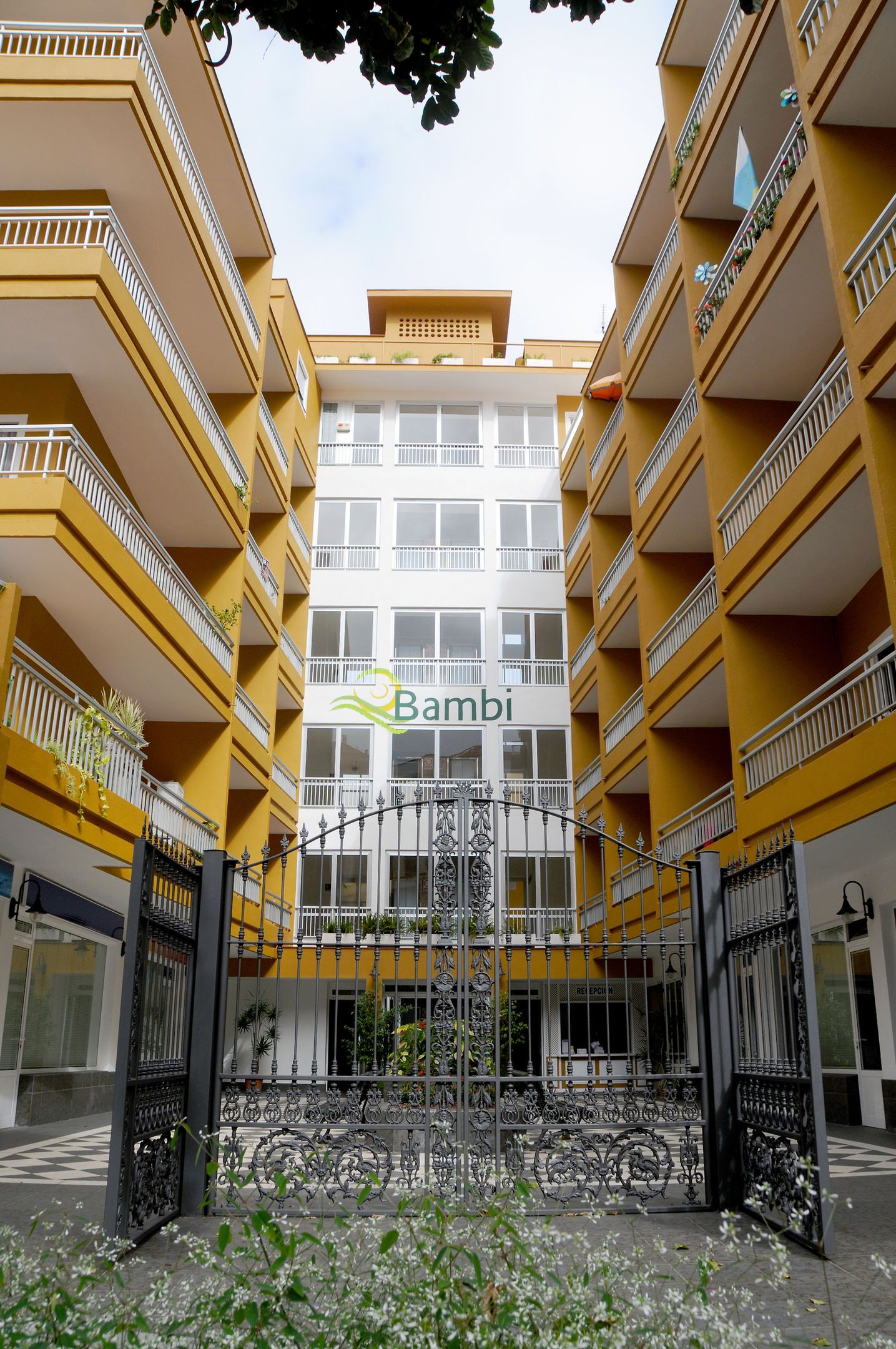 RF Apartamentos Bambi, foto 3
