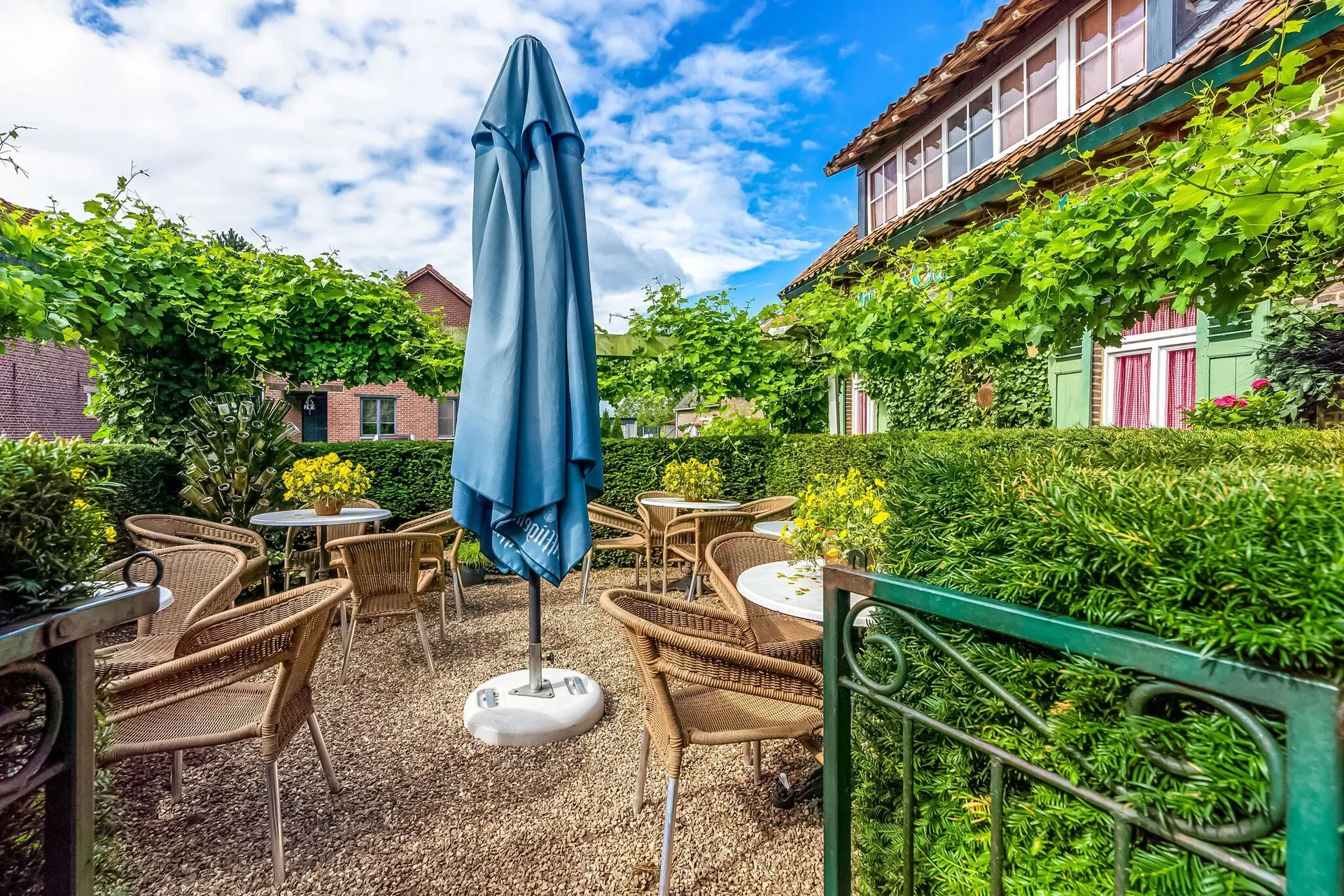 Jardin (été)