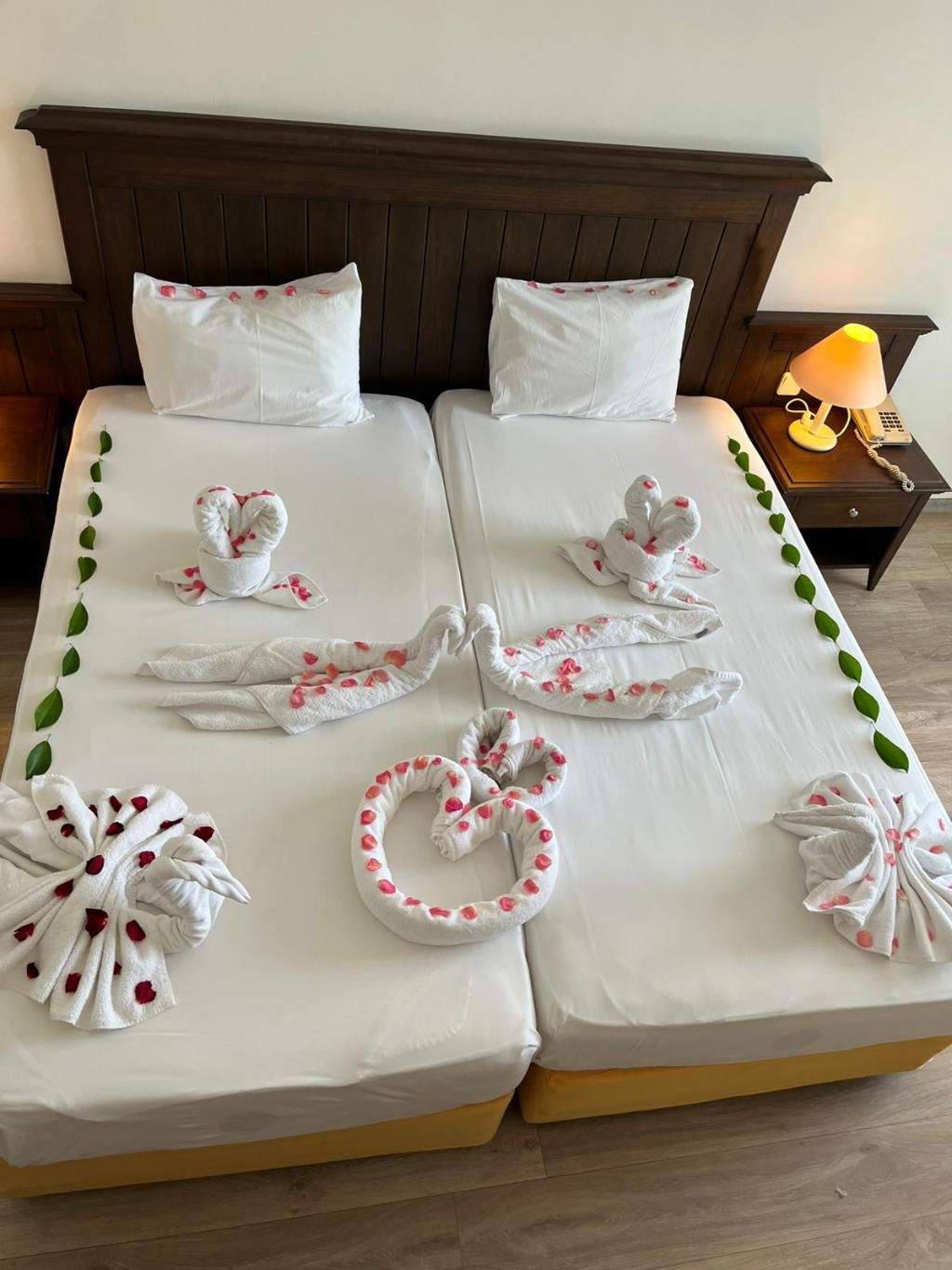 Palm D'or Hotel, foto 7