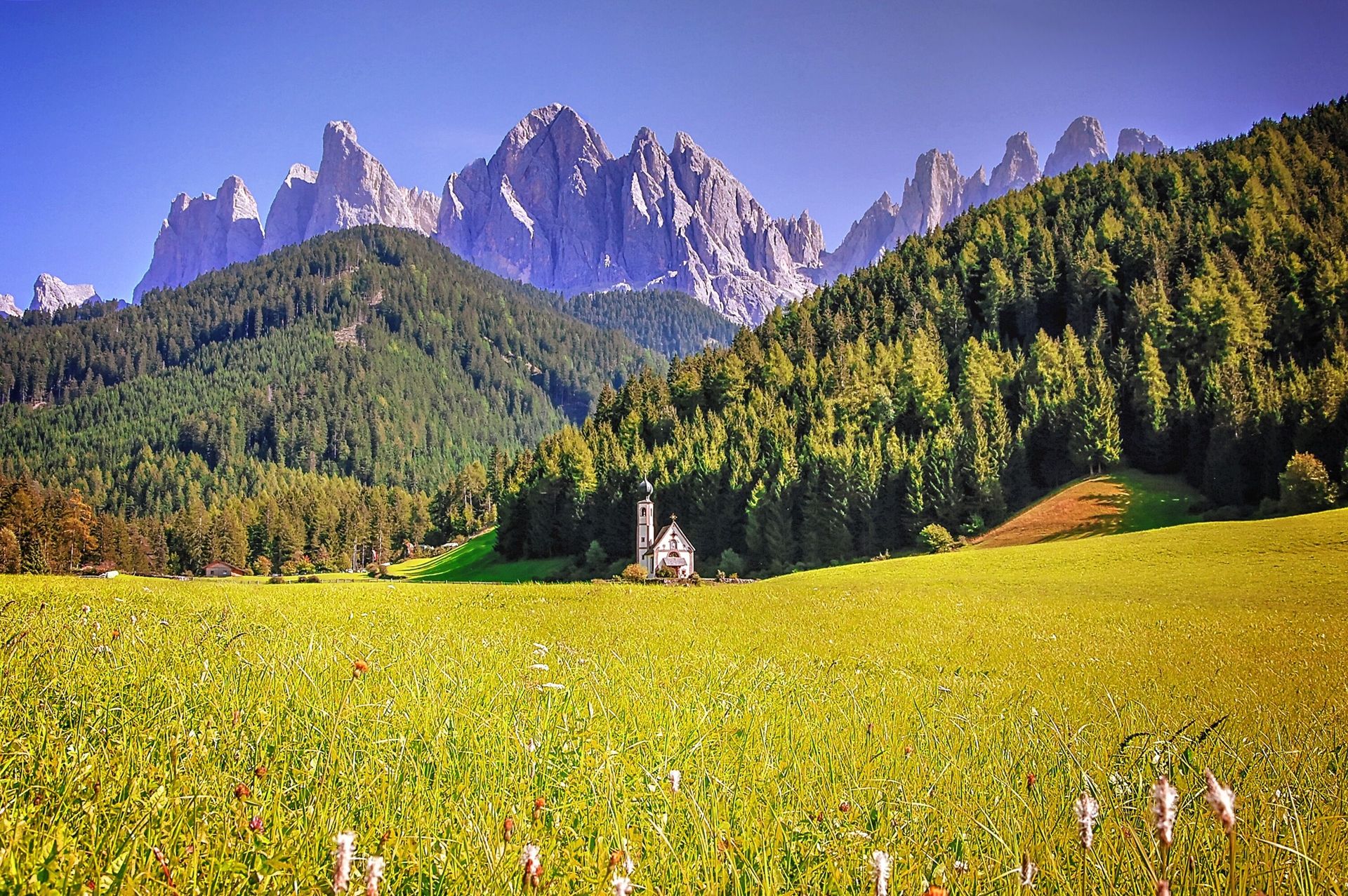 Ontdek de Dolomieten in Trentino, Malè, foto 14