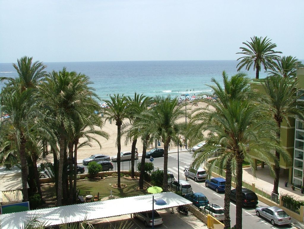 El Palmeral, foto 2