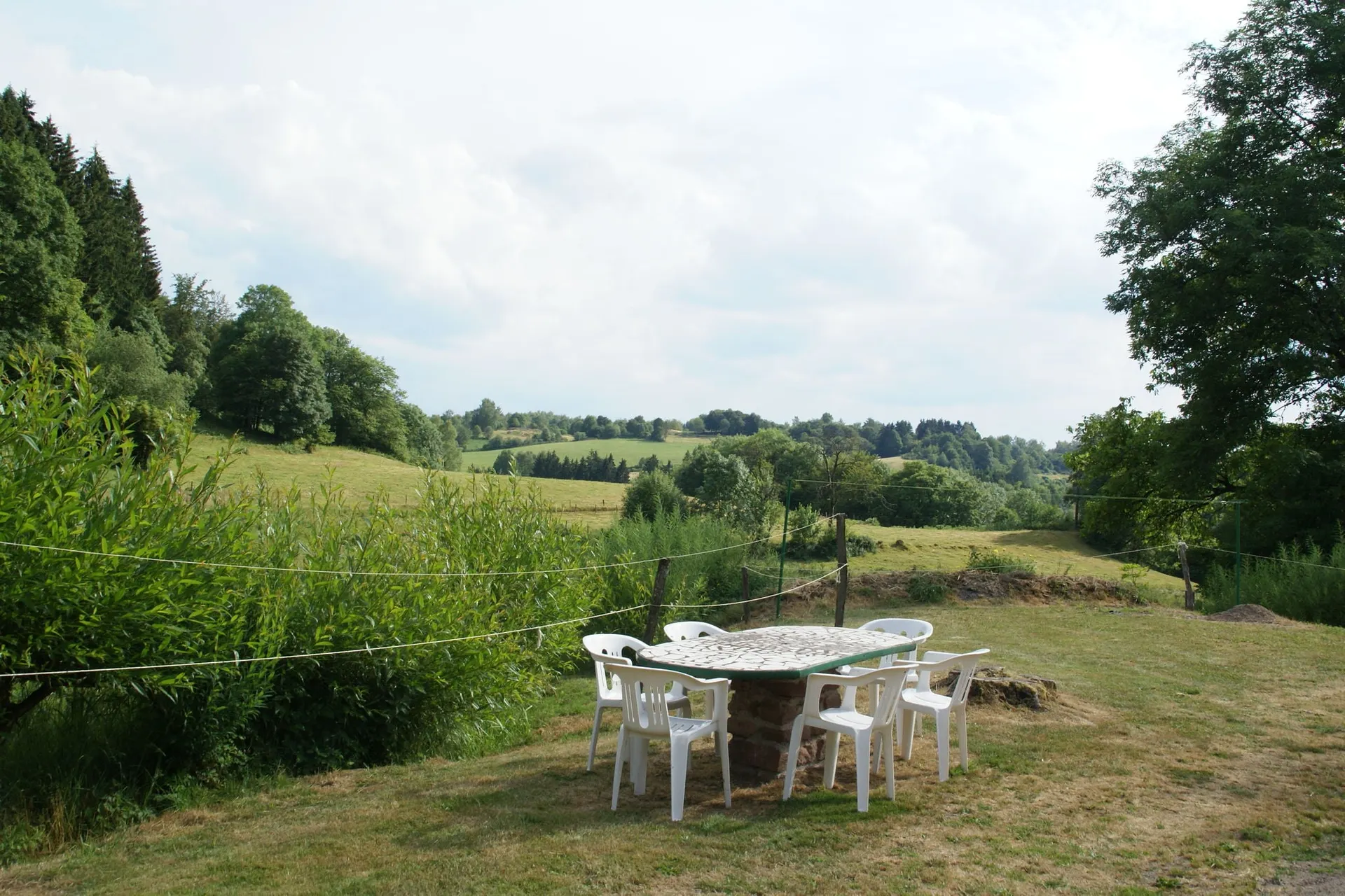Tuin (zomer)