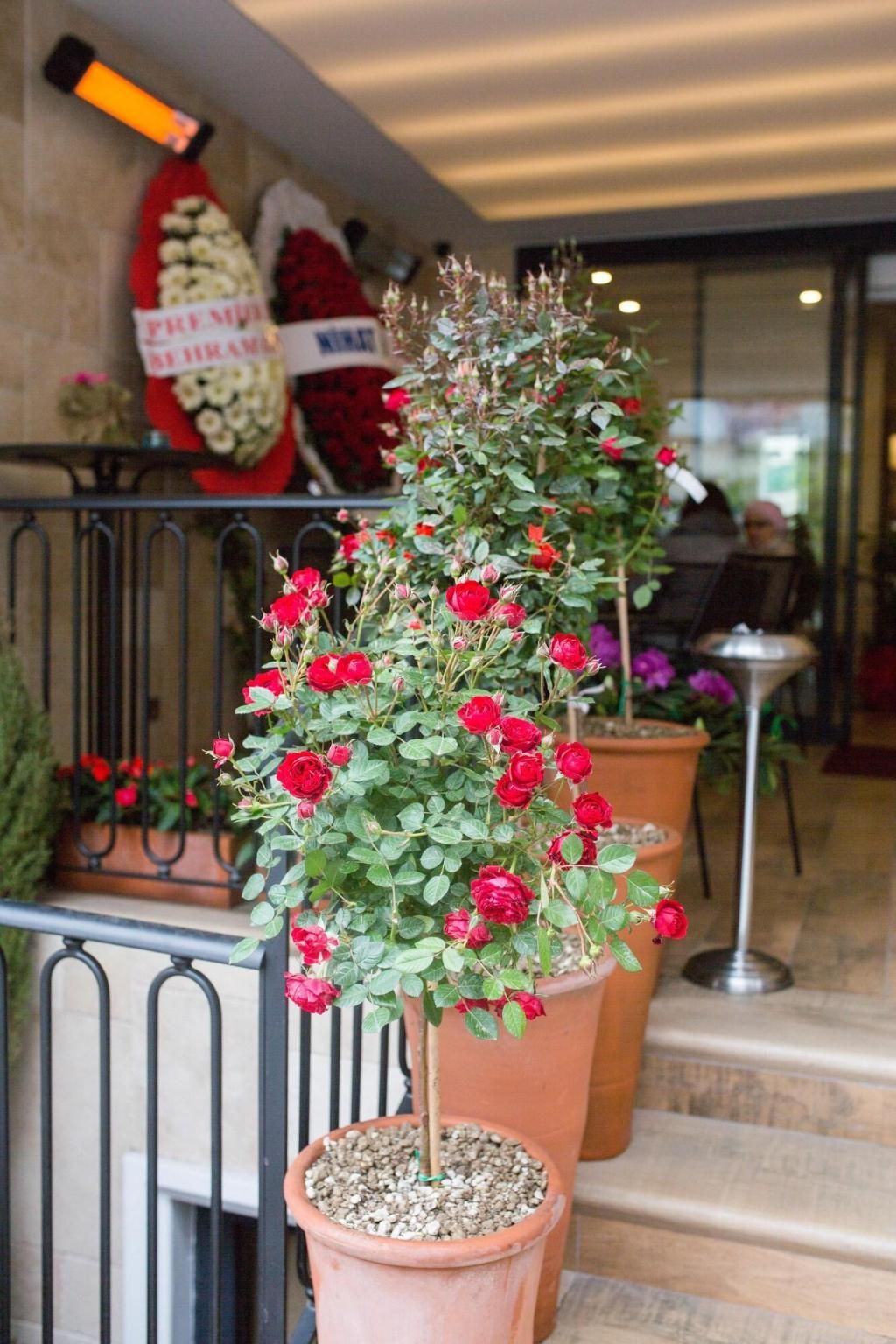 The White Orient Hotel, foto 14