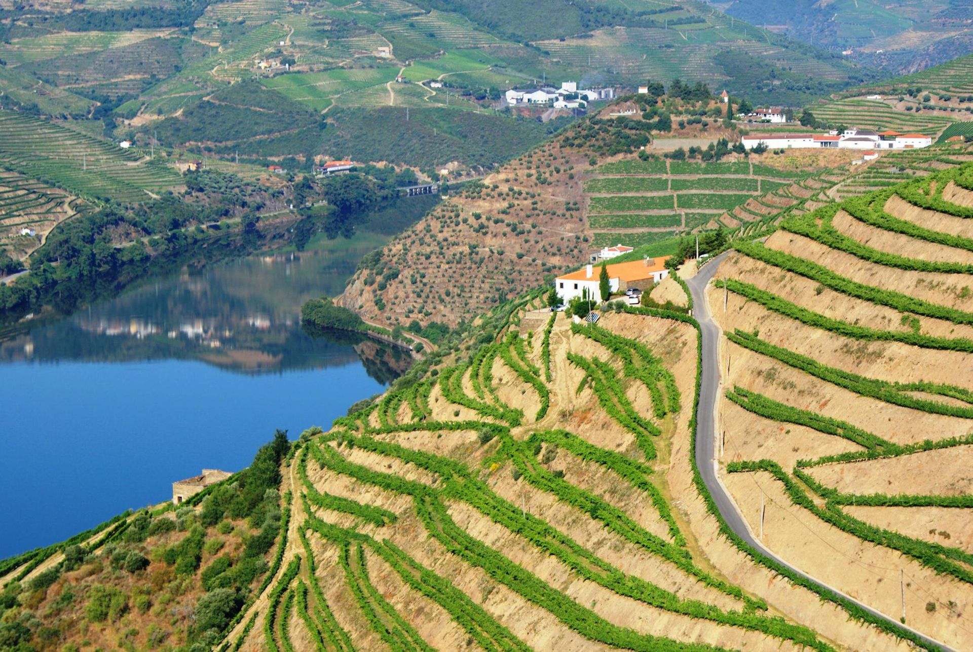 Quinta Da Veiga, foto 3
