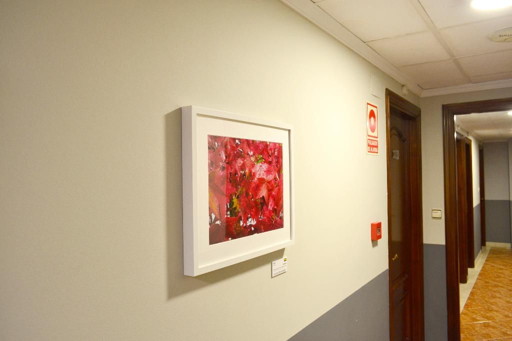 Hotel Alda Puerta Coruña, foto 6