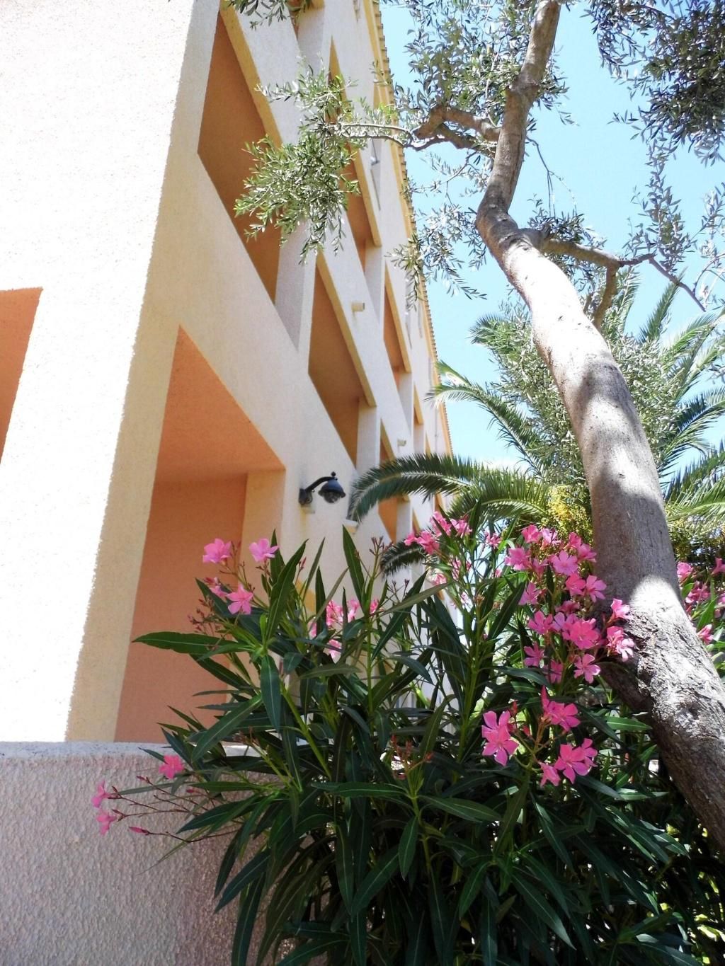 Le Nereidi Hotel Residence & Conference, foto 13