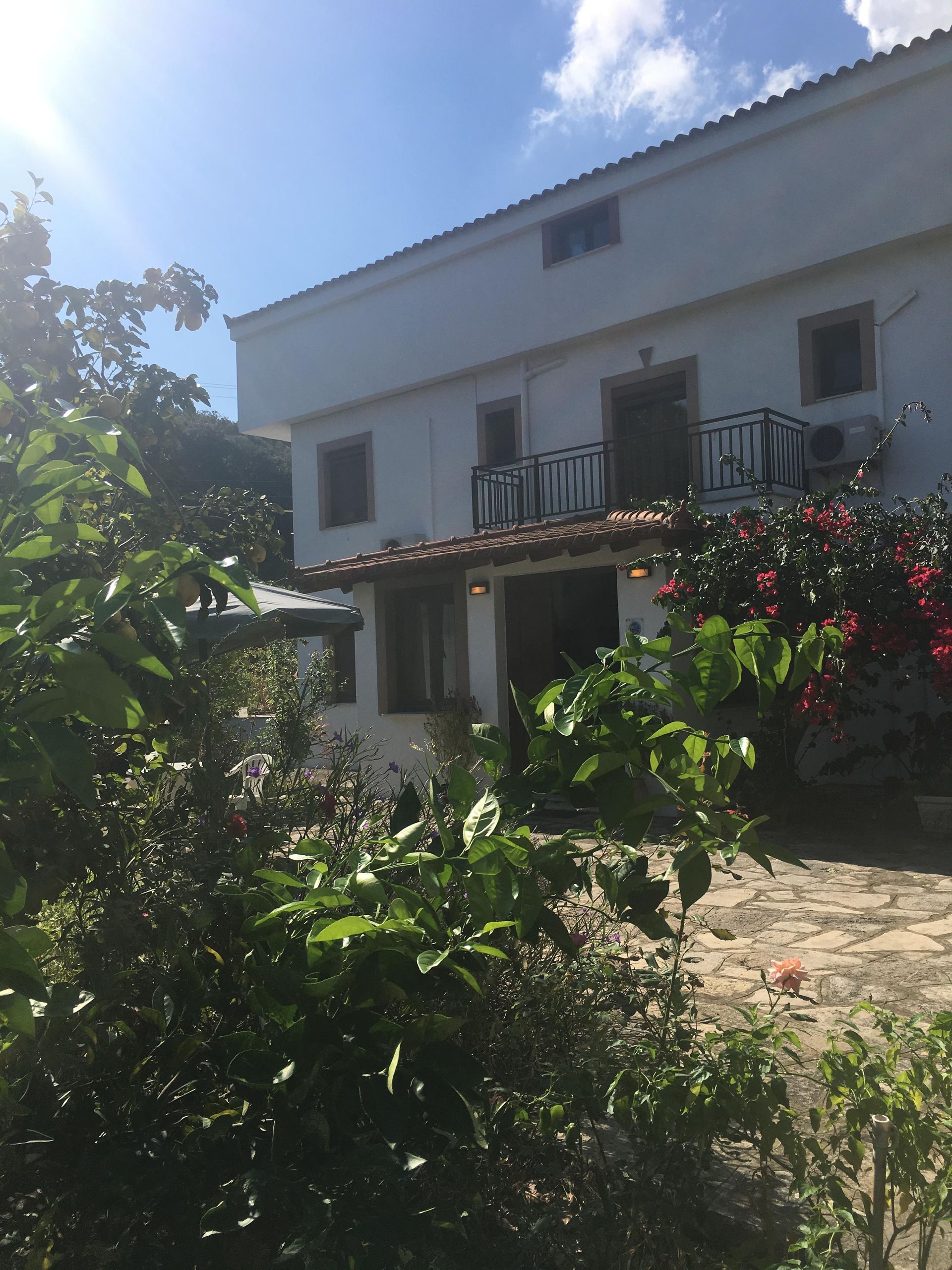 Alekos Rooms and Apartments, foto 6