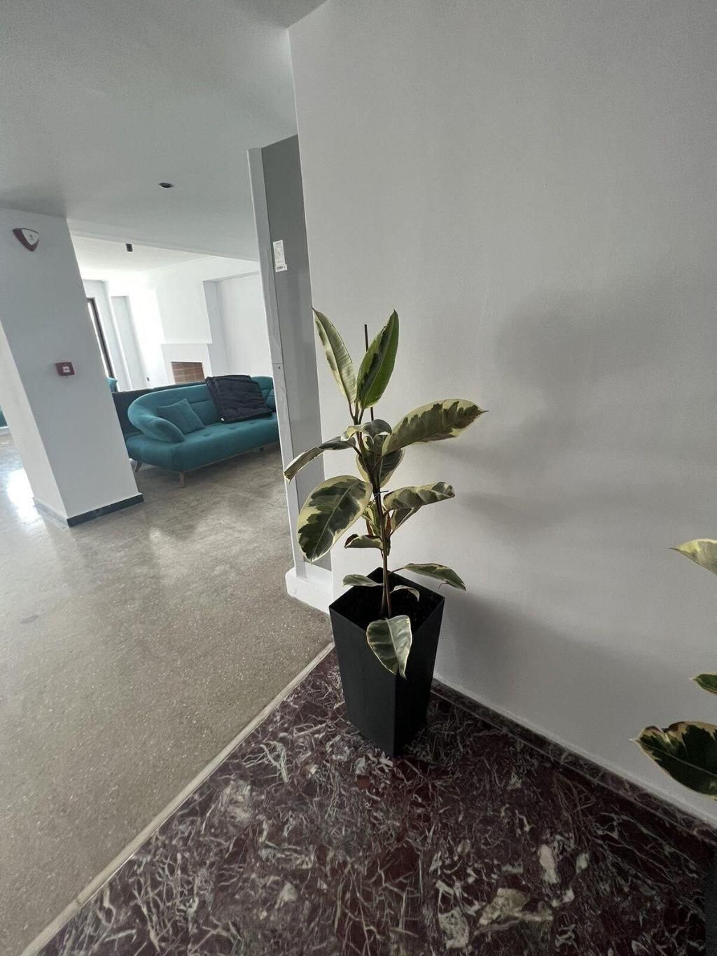 Evita Blue Hotel, foto 2
