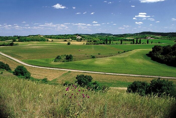 Agriturismo Le Sorgive e Le Volpi, foto 8