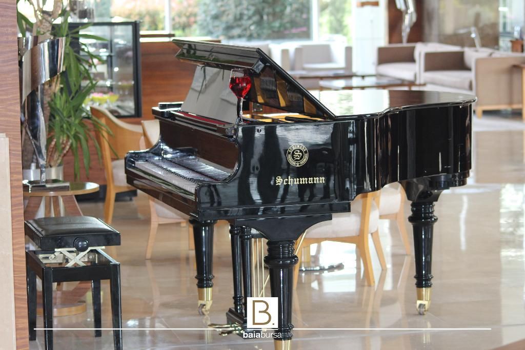 Baia Bursa Hotel, foto 13