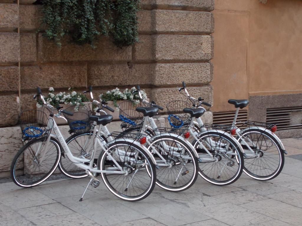 Accademia, foto 3