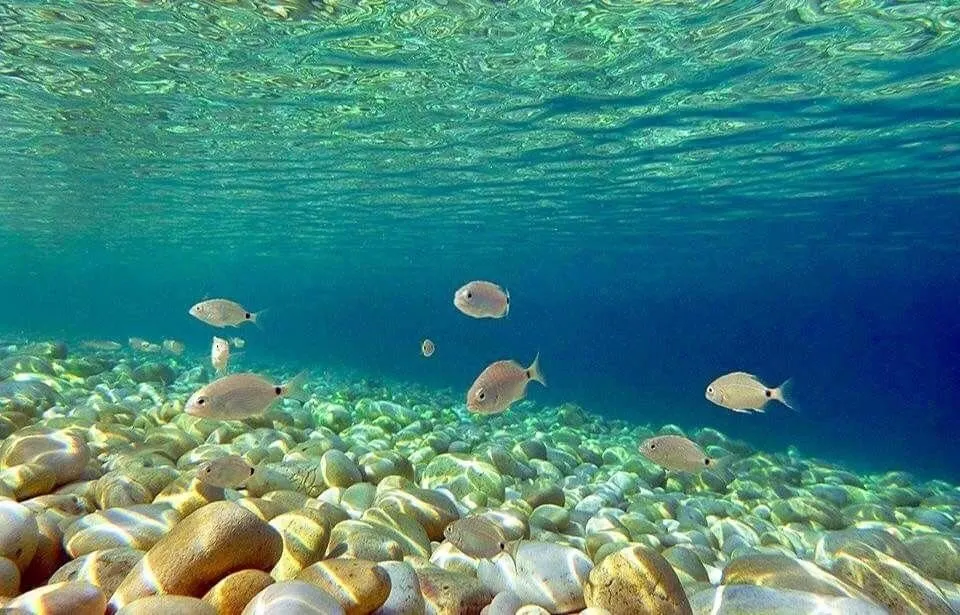 Eilandhoppen 8 dagen Corfu-Paxos (Gaios) 3*