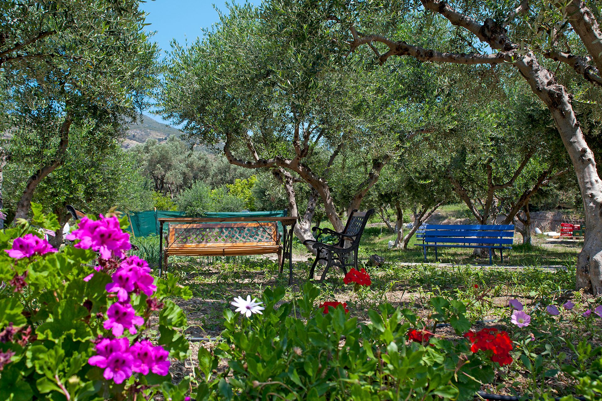 Aphrodite Samos Superior Studios & Apartments, foto 13