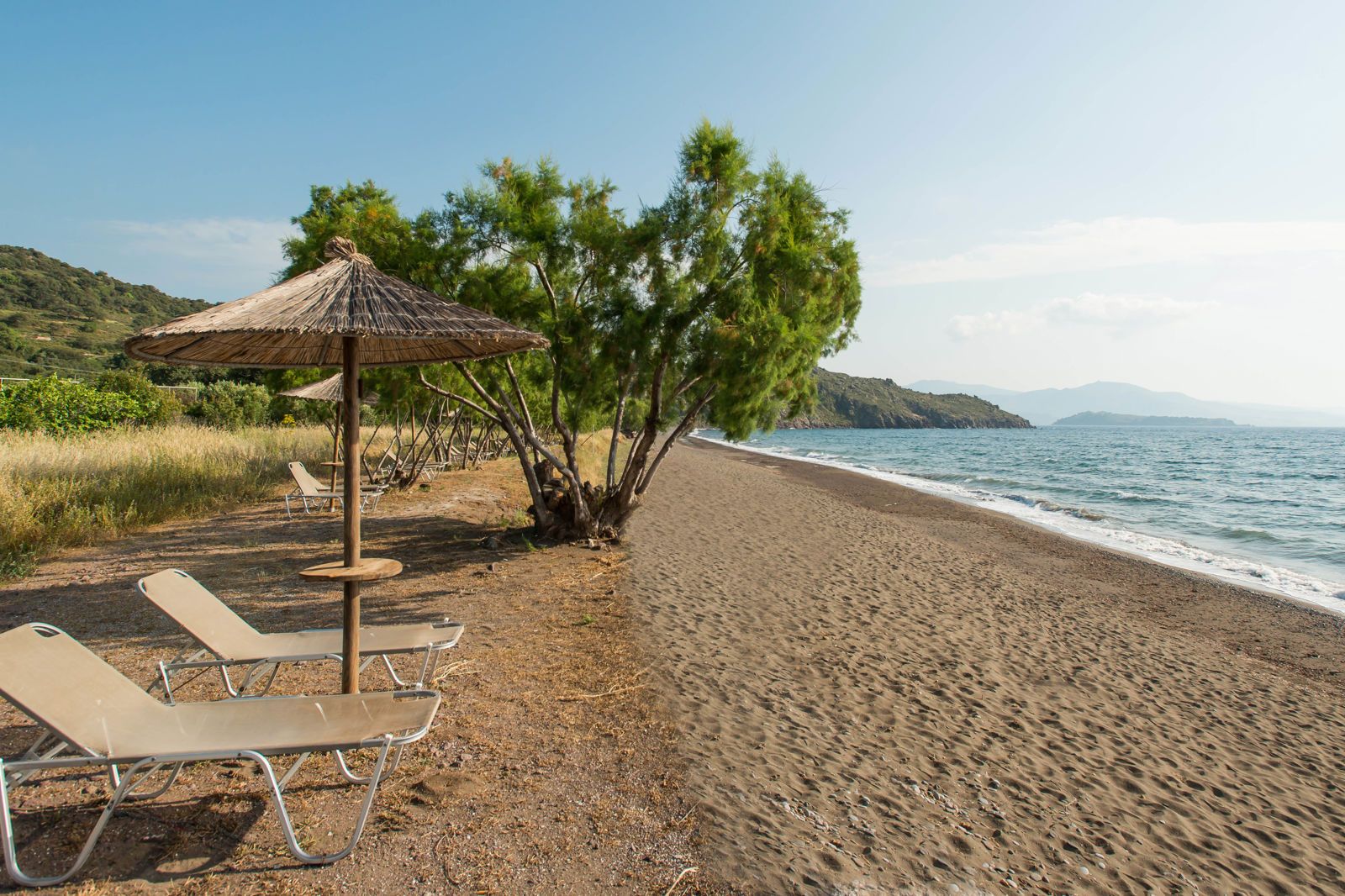 Delfinia Hotel & Bungalows, foto 5