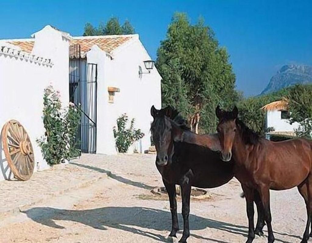El Horcajo, foto 10