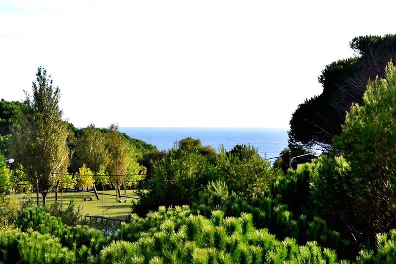 Duerming Montalvo Playa Hotel, foto 5
