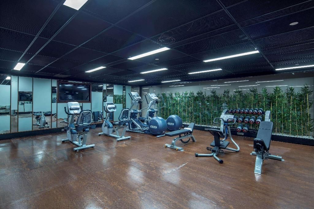 Hilton Garden Inn Istanbul Ataturk Airport, foto 5
