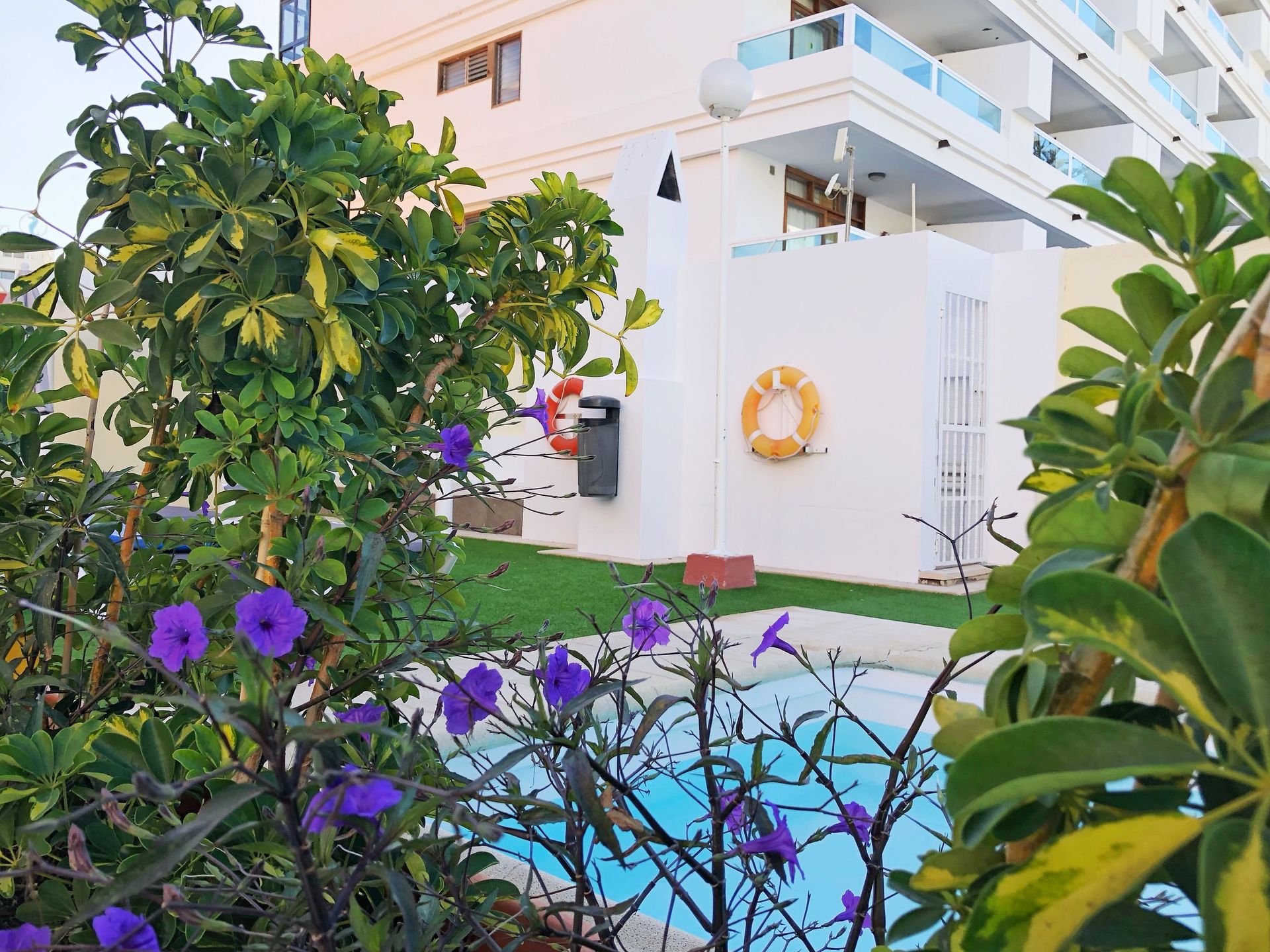 Apartamentos Don Gregorio, foto 4