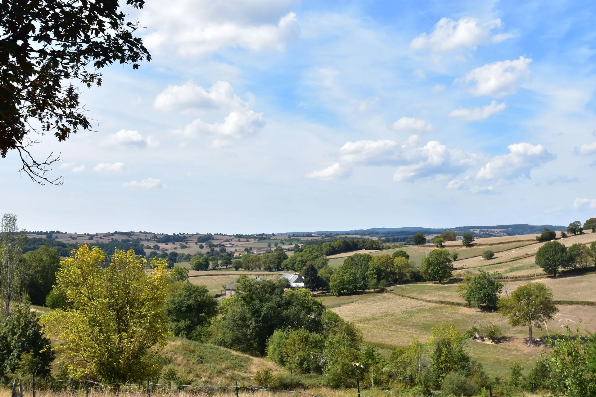 Vue de la maison de vacances (été)