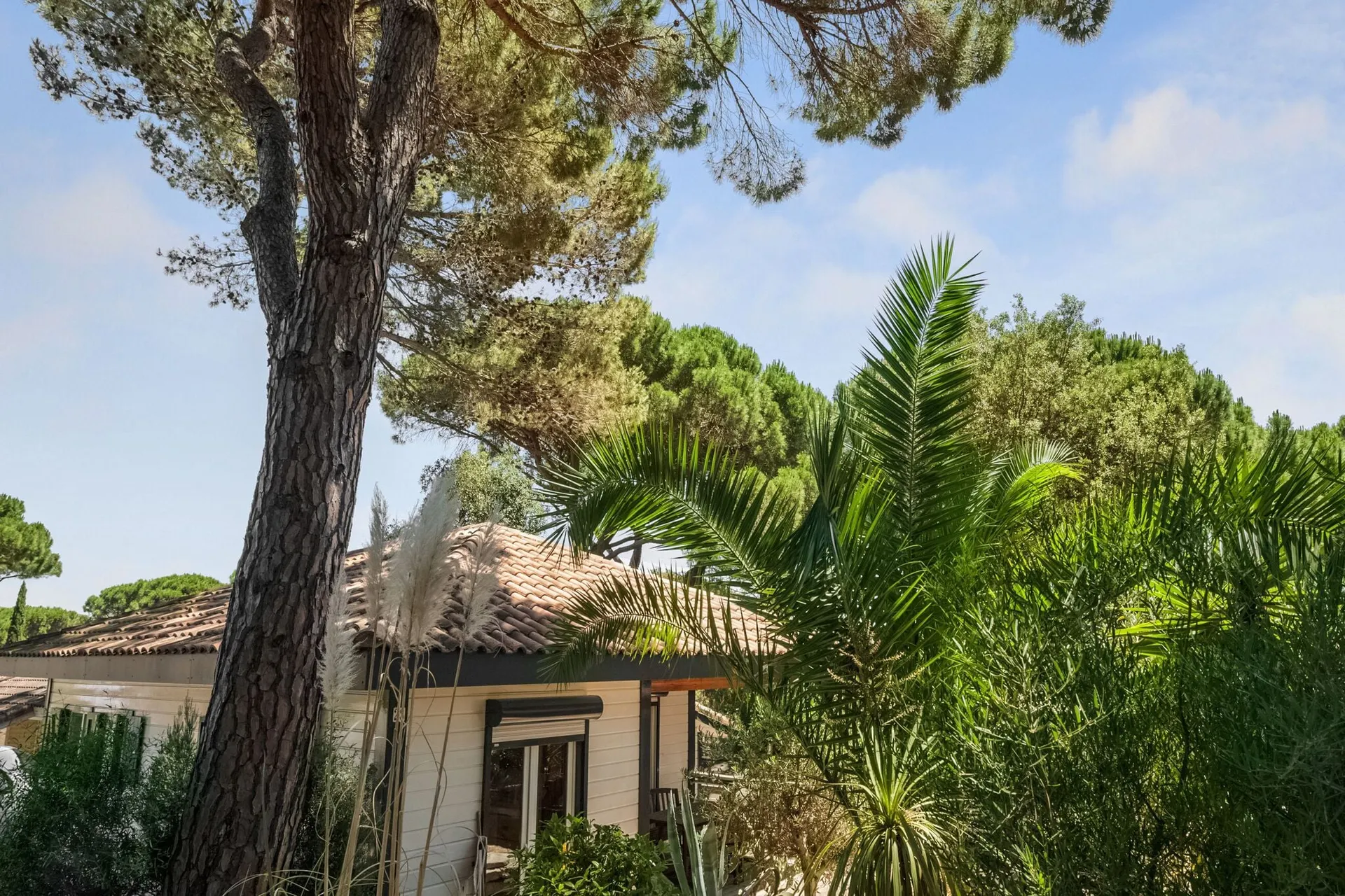 Exterieur vakantiehuis (zomer)